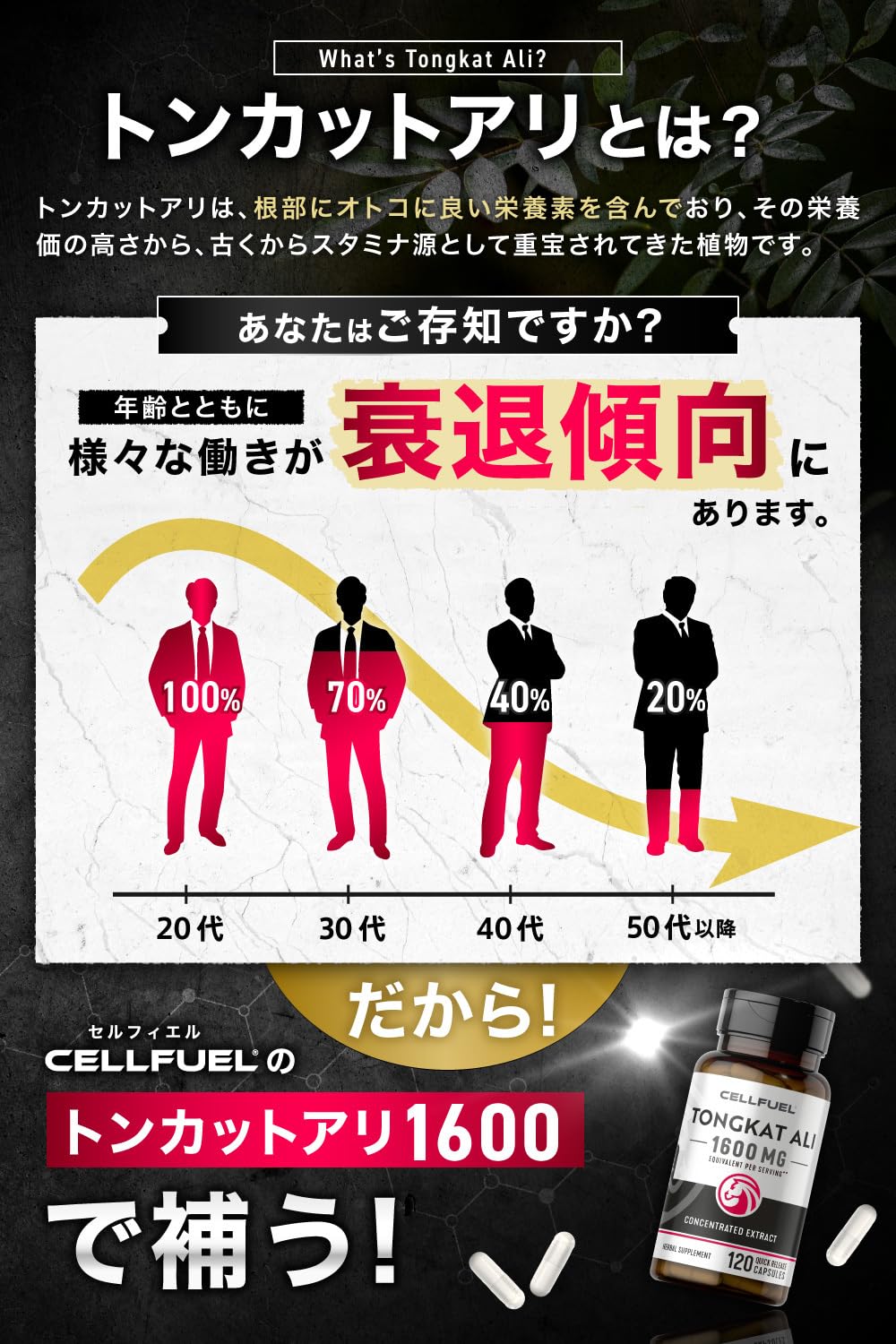 Amazon | 【高配合】トンカットアリ エキス Tongkat Ali 2粒で生1600