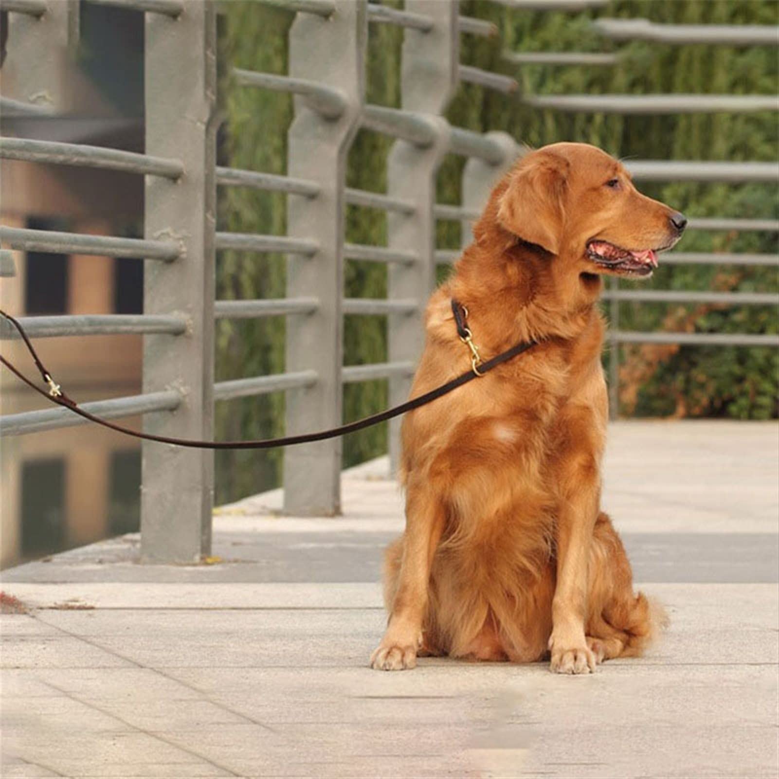 Skórzana smycz dla zwierząt Skórzana linka trakcyjna Podwójna przyczepność Łańcuch P Obroża Wielofunkcyjna długość Pet Dog Walking Dog Training Lina trakcyjna Lina dla psa (Kolor: 04, Rozmiar: 1,2 c