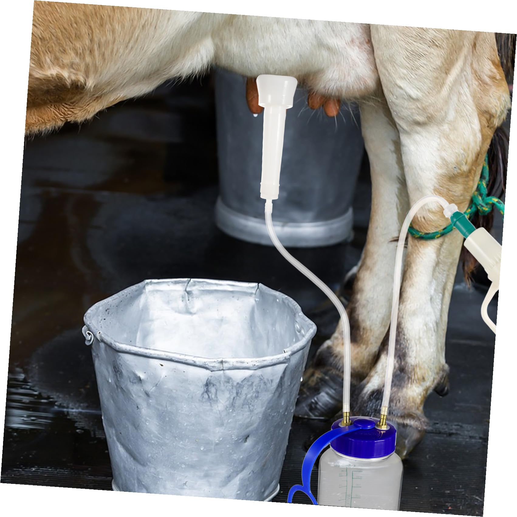 Tofficu Mungitrice Manuale per Mucche e Pecore in Plastica, Kit Compatto Accessori per Allevamenti, Forniture per Bestiame per Uso Domestico e Agricolo