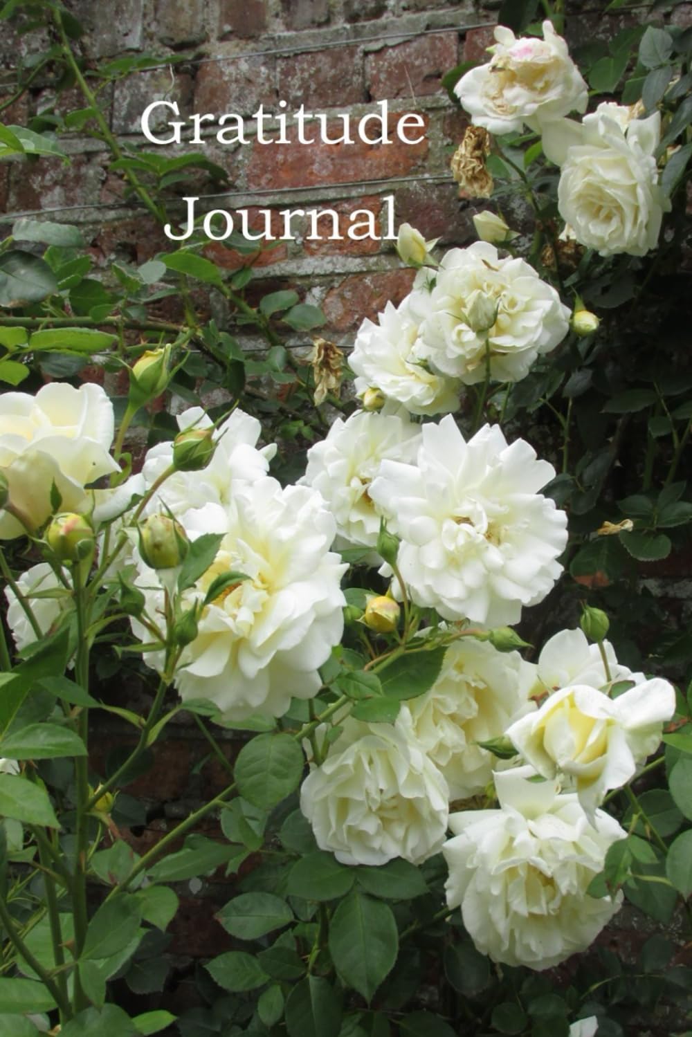 Notebook: White Roses to inspire mindfulness as you write