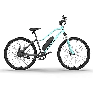 EMotorad X2 Mountain Electric Cycle (16
