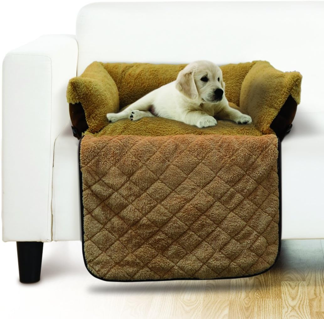 pet couch bed