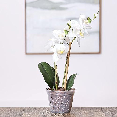 Miniatura 7 de YIKUSH Macetas de orquídea con agujeros, maceta transparente para orquídeas, macetas de plástico para plantas, macetas para uso en exteriores e