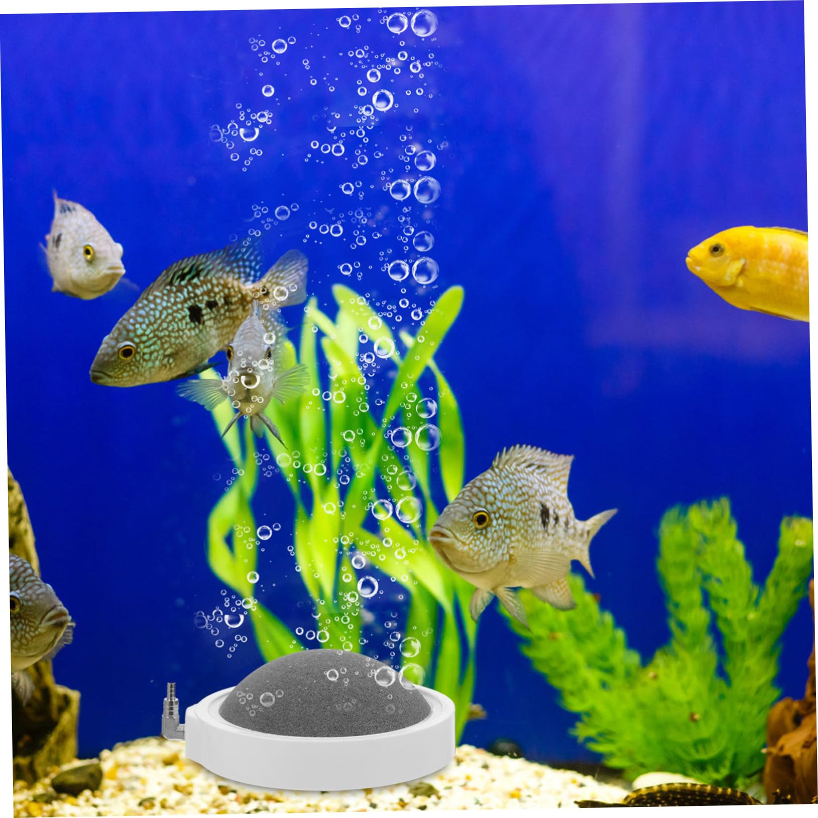 Happyyami 2piezas Piedra De Aire para Acuario Difusor De Burbujas Silencioso Aumenta La Oxigenación Tanques De Peces y Sistemas Hidropónicos De Fácil De Instalar