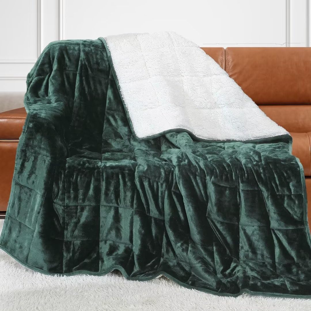 Alomidds Queen Size 20lbs, Weighted Blanket for Adults, Fluffy Warm Sherpa & Cozy Soft Flannel Snuggle Thick Heavy Blanket Great for Sofa Bed, 60 x 80 inches, Green