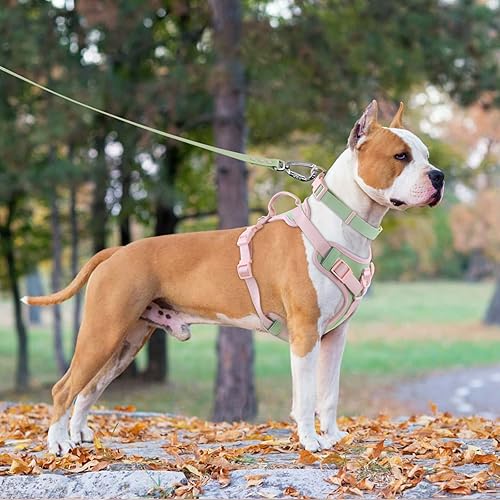 Miniatura 7 de Arnés sin tirones para perro, ajustable, suave, acolchado, chaleco para mascotas, con asa de control, adorable arnés diario para perros (verde