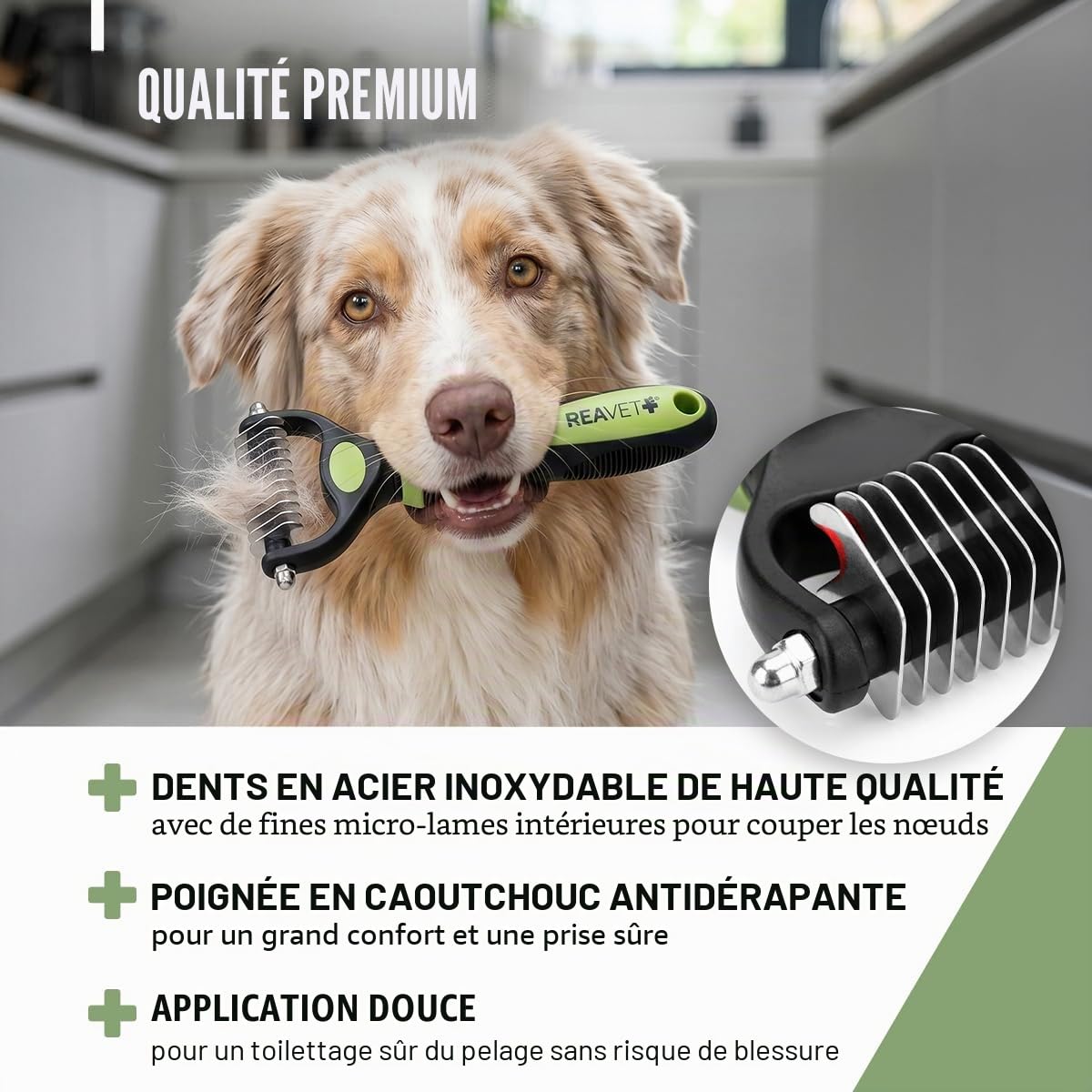 ReaVET Brosse pour chien et chat - Brosse à sous-poil pour poils longs - Pour les petites races - Élimine les sous-poils et les nœuds - Avec effet de massage et protection des poils - Brosse pour