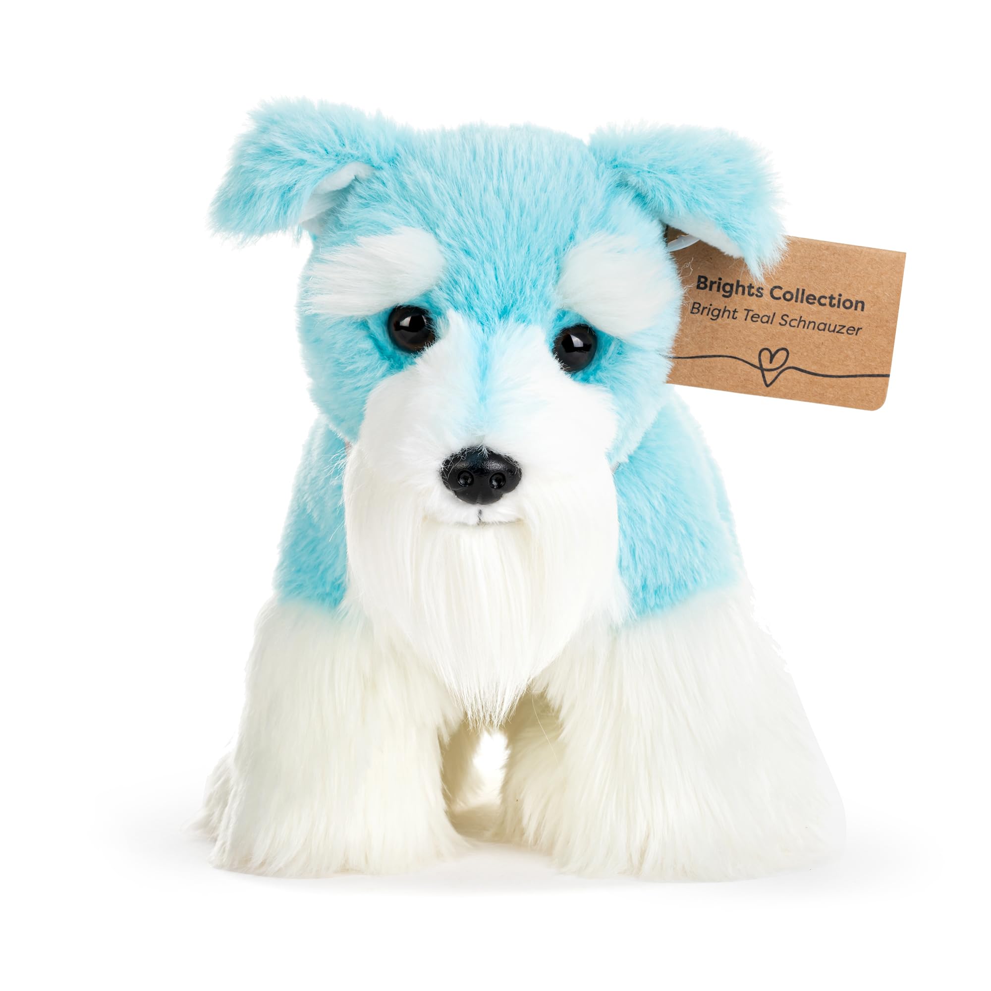 Amazon.com: DEMDACO 5004810098 Animalcraft Schnauzer Dog Teal and