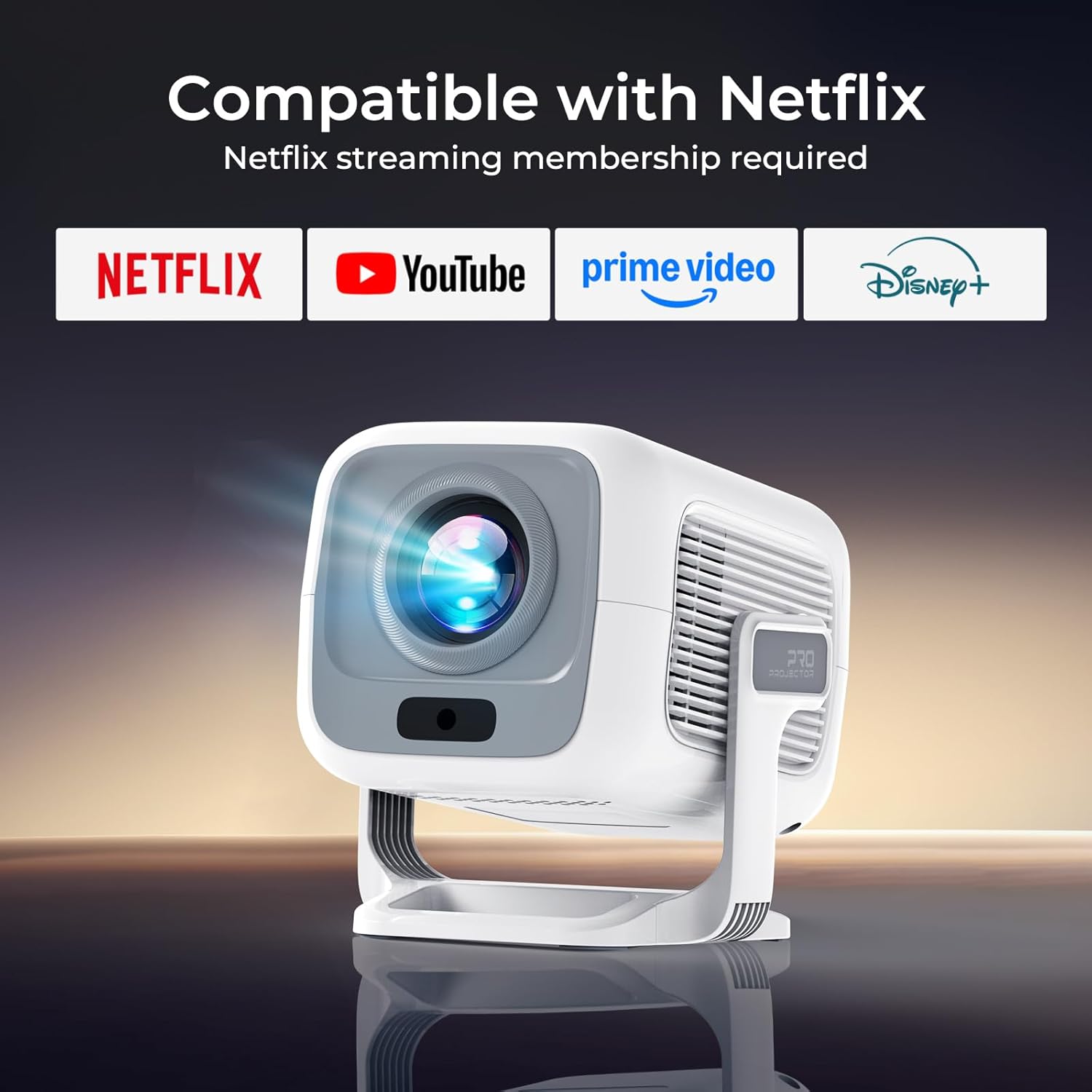 71RnD8aYEDL. AC SL1500