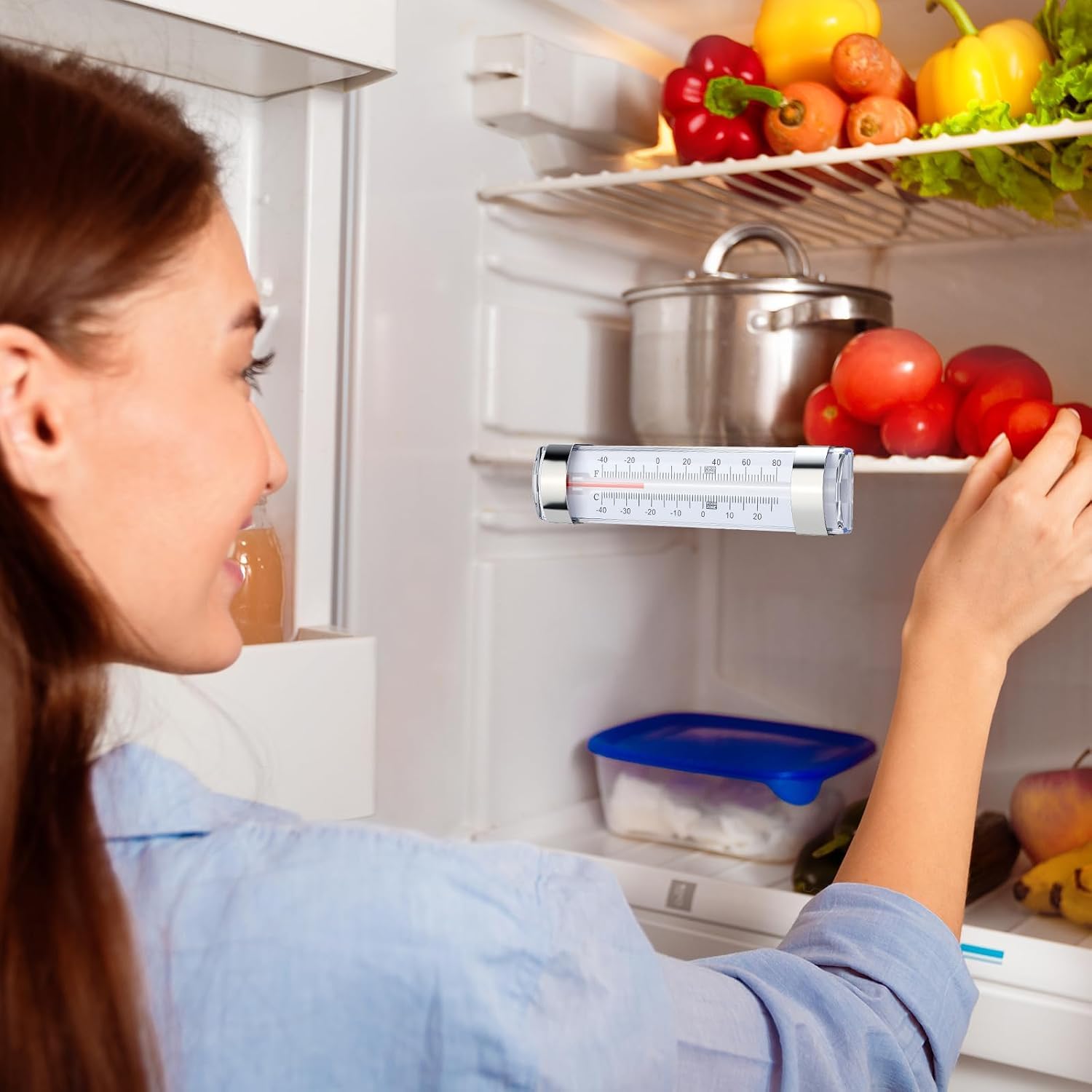 20 Pack Refrigerator Thermometer, Hanging Dual-Scale Fridge Thermometer