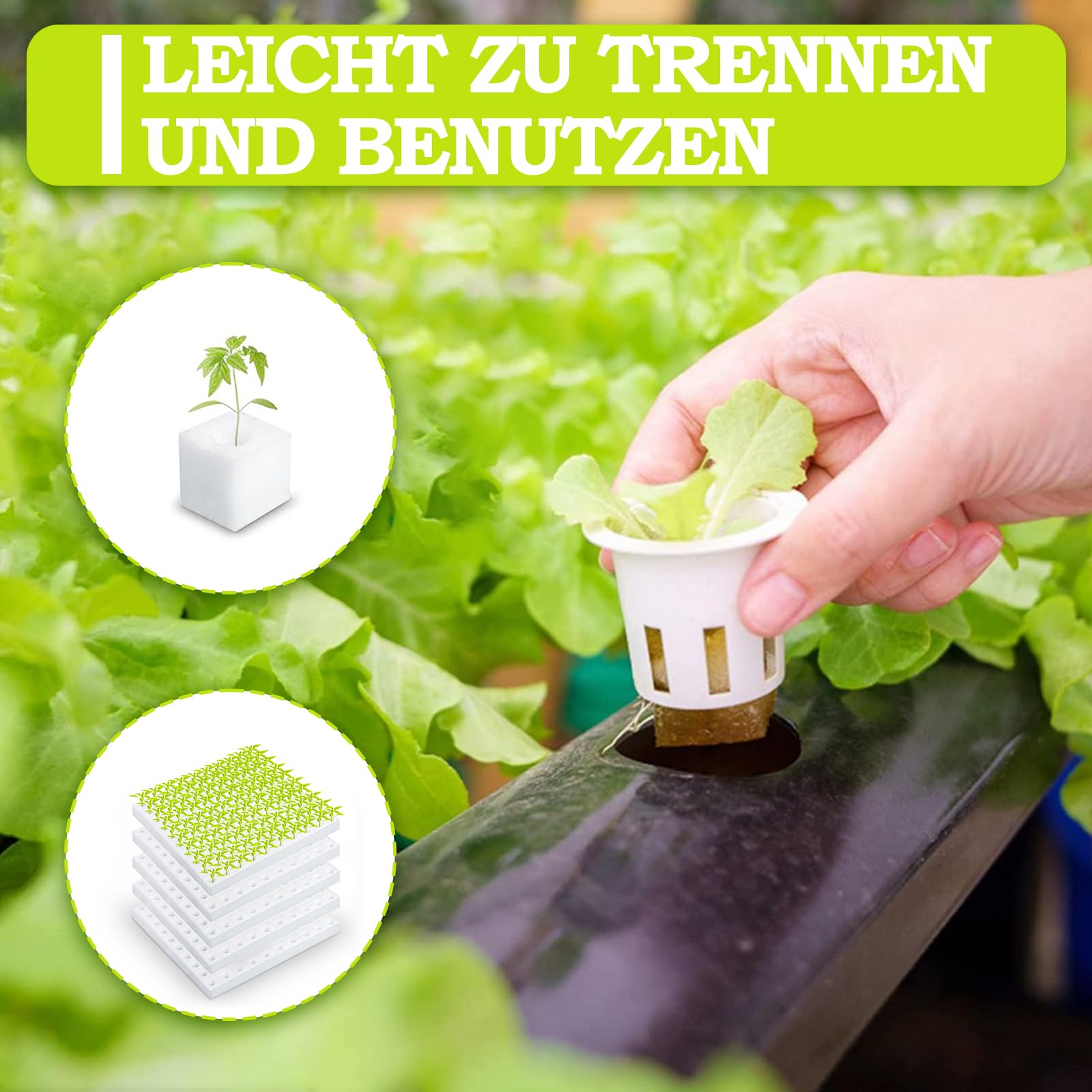 Lot de 500 éponges hydroponiques pour la croissance des plantes, outils de jardinage pour semis, serres et plantes potagères.