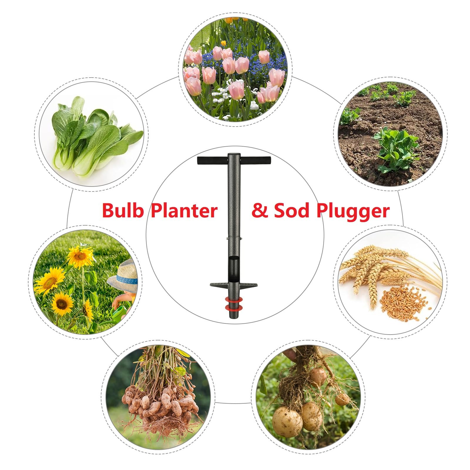 Herramienta para plantar bulbos, 33.5 pulgadas de largo, para cavar hoyos, herramientas de metal resistentes para jardinería, para plantar o desherbar bulbos de flores de primavera,