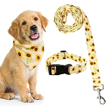 CiyvoLyeen 3PCS Sunflower Dog Collar Bandana Leash Set for Small Medium Pets Puppies Outdoor Walking Running Training Summer Fall Dog Scarf Gift