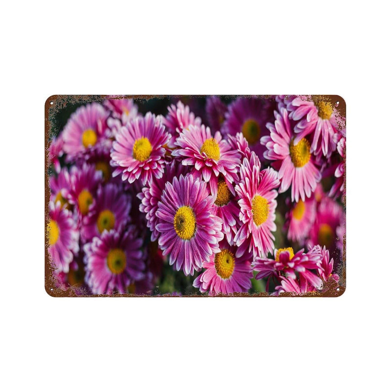 Metal Sign,Chrysanthemums in autumn,Vintage Tin Sign Home Kitchen Bar Cafe Club Cave Wall Decor-20x30cm(8x12 inch）H91