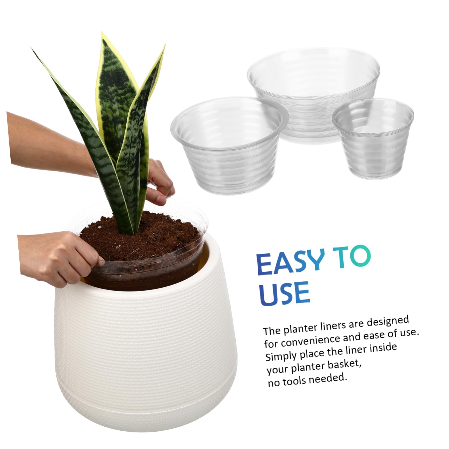 self watering snake plant Snake Plant With Self Watering Pot
