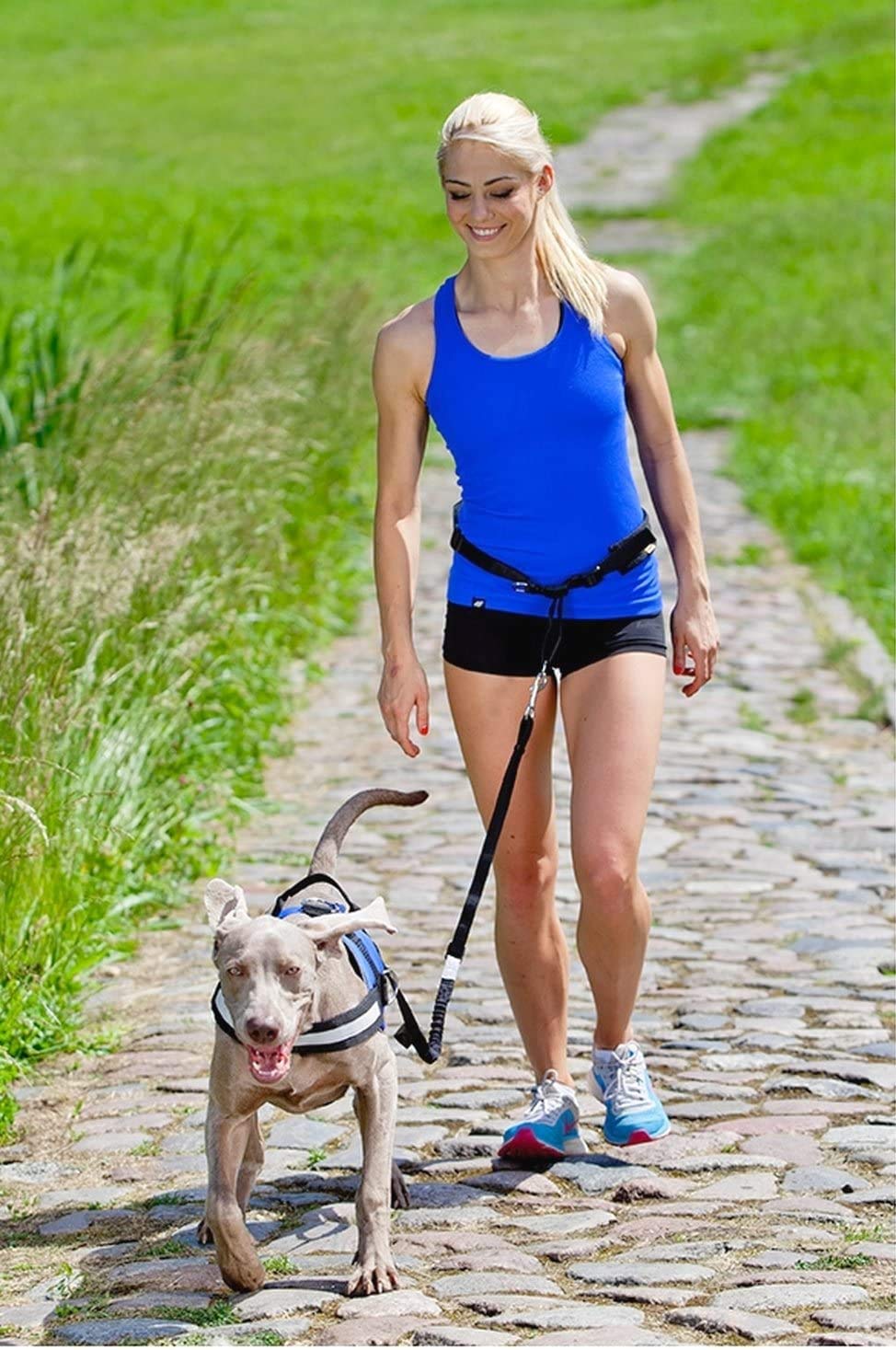 Dingo Jogginggurt 4 in 1 +Hundeleine mit einem Stoßdämpfer Set L/XL Gürtel : 3,0 x 70-130 cm Hundeleine: 2,5 x 120-150 cm Schwarz Frei Hände zum Joggen, Laufen 12779