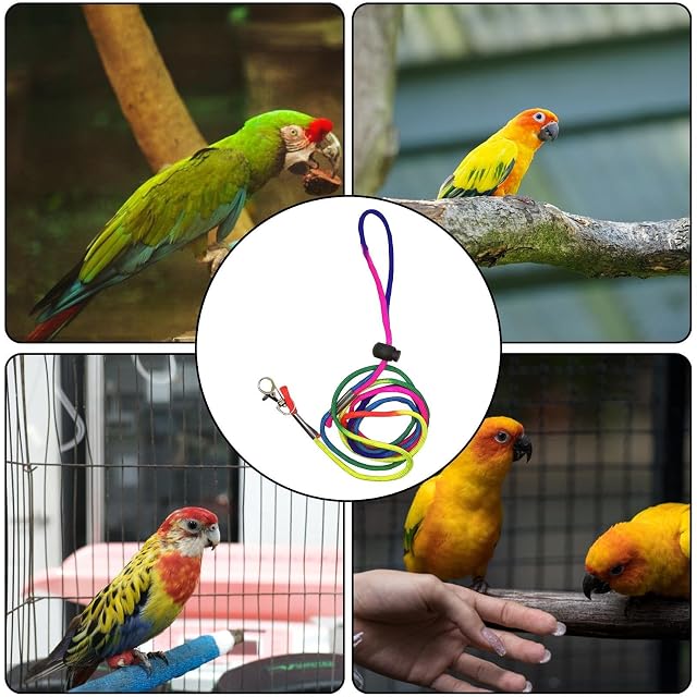 Foto 2 de 8 de Pañal para pájaros, pañales Suaves para pájaros, Pantalones de para pájaros pequeños y medianos, periquitos