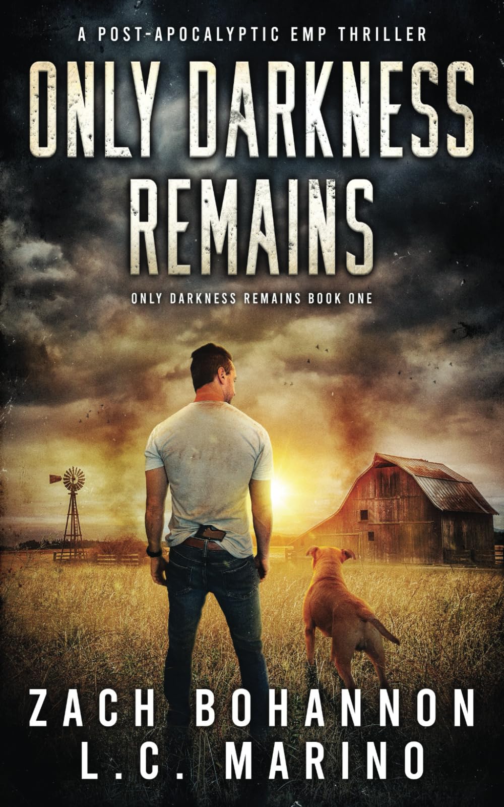 Only Darkness Remains: A Post-Apocalyptic EMP Thriller