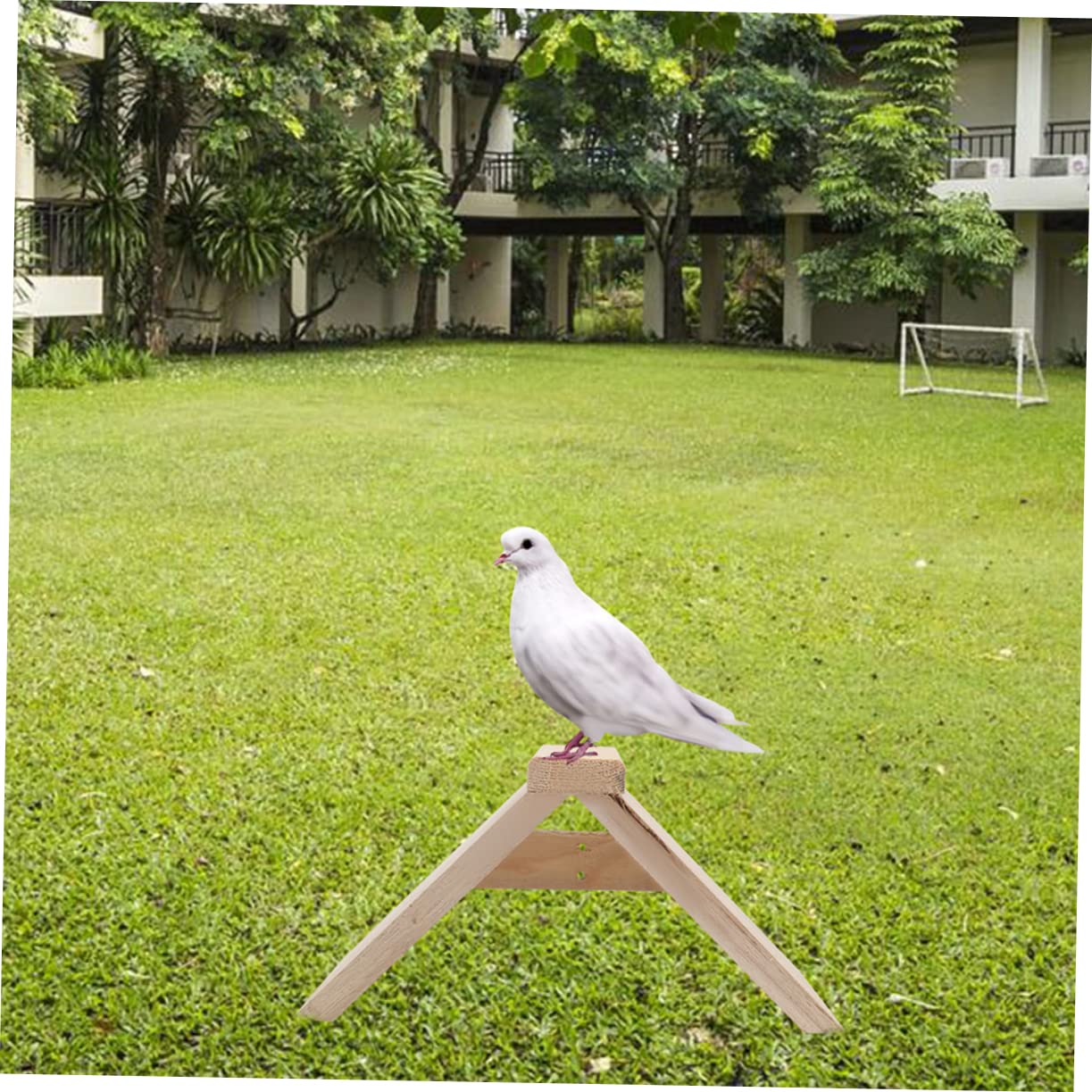 POPETPOP Soporte de Madera para Aves y Loros 5piezas, Perchero Resistente para Juego y Decoración en Jaulas de Aves Domésticas