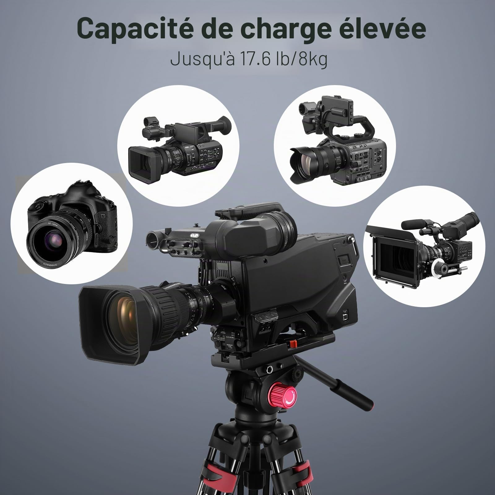 NEEWER 200cm Trépied Vidéo,Trépied en Alliage d'Aluminium Robuste avec Tête de Glissement Fluide à 360°,Plaque QR Compatible avec Canon Nikon Sony et Autres Caméscopes DSLR,Charge Jusqu'à 8kg
