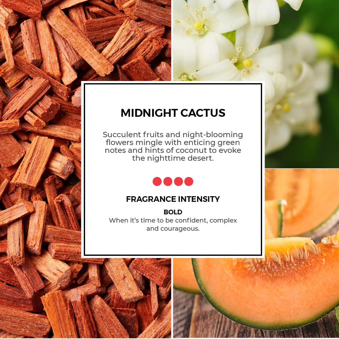 PartyLite Tealight Candles, Fragranced Colored Wax with Clear Container, 12  Pack Tea Lights, Made in The USA (Midnight Cactus): Buy Online at Best  Price in UAE - Amazon.ae
