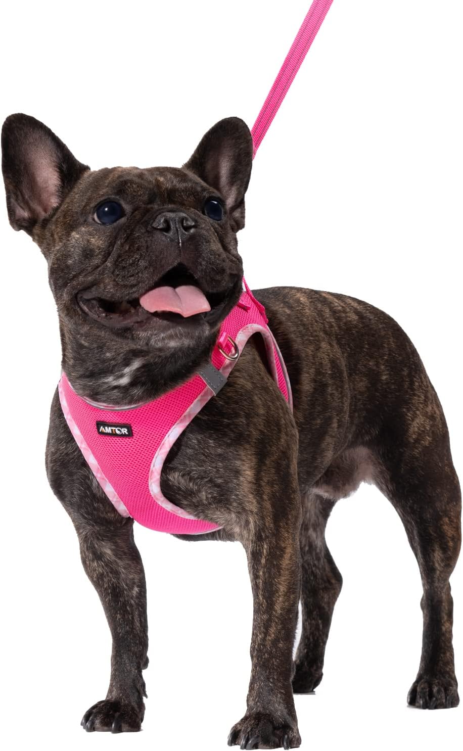 AMTOR Dog Harness with Leash Set,No Pull Adjustable