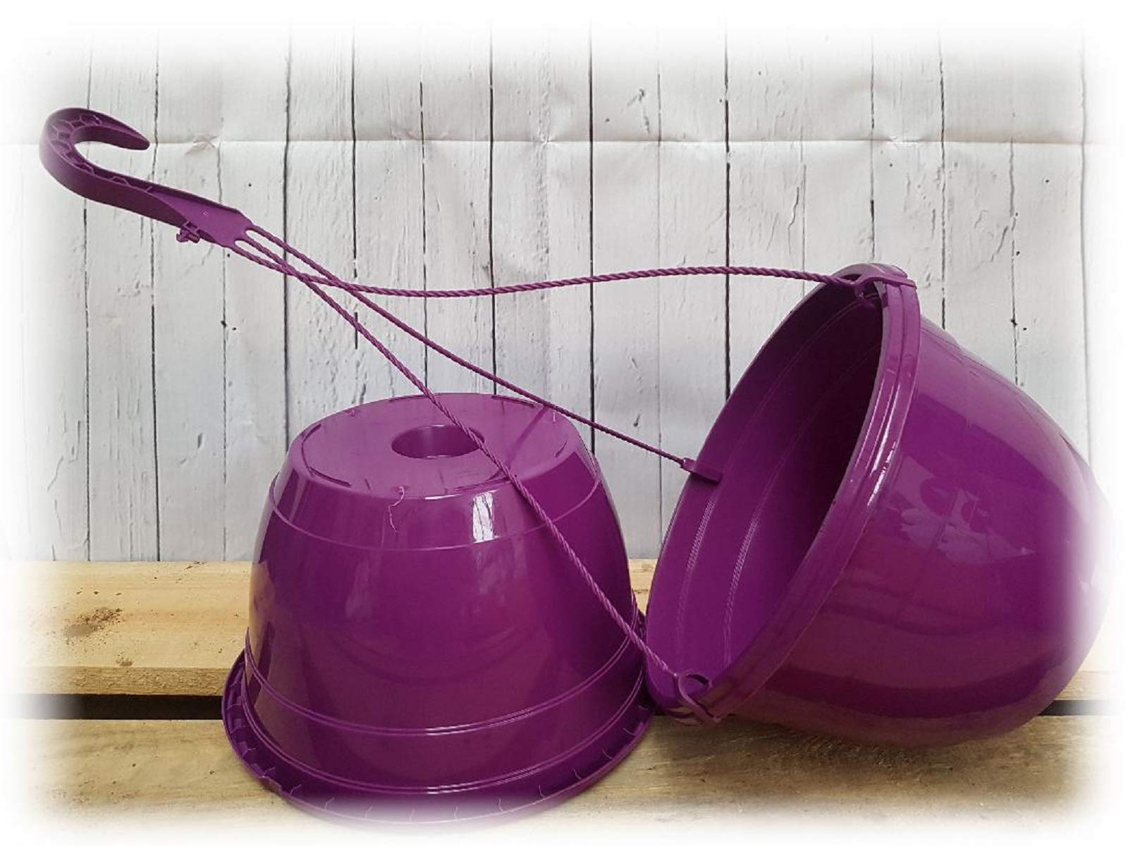 27cm Coloured Hanging Baskets by Pretty Wild Seeds Yellow Red White Pink Orange Purple Grey Green (4 Purple Baskets)