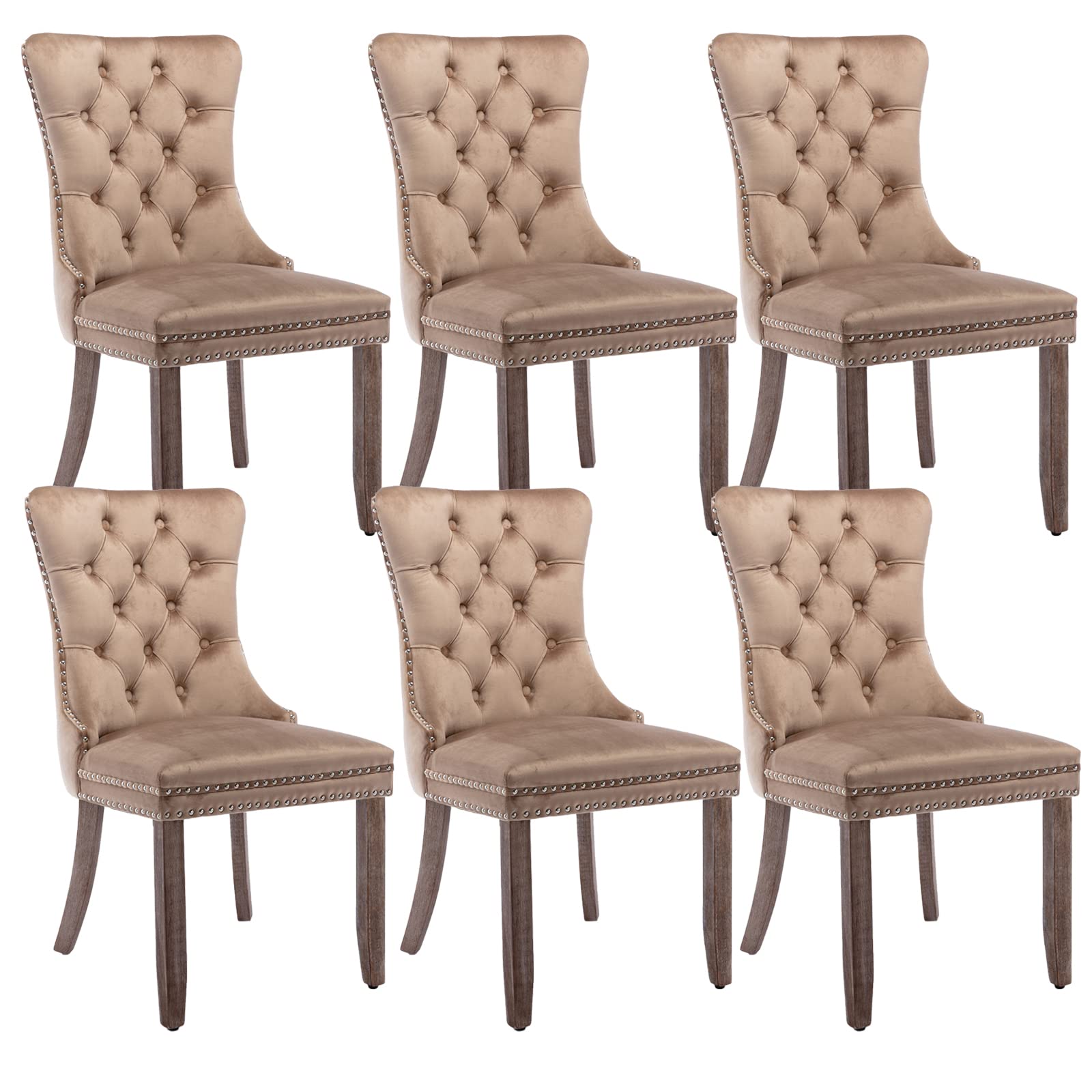 Shenyon Upholstered Dining Chairs Set of 6, Velvet Dining Room Chairs with Back Ring Pull Trim and Solid Wood Legs, Tufted Wingback Kitchen Chair