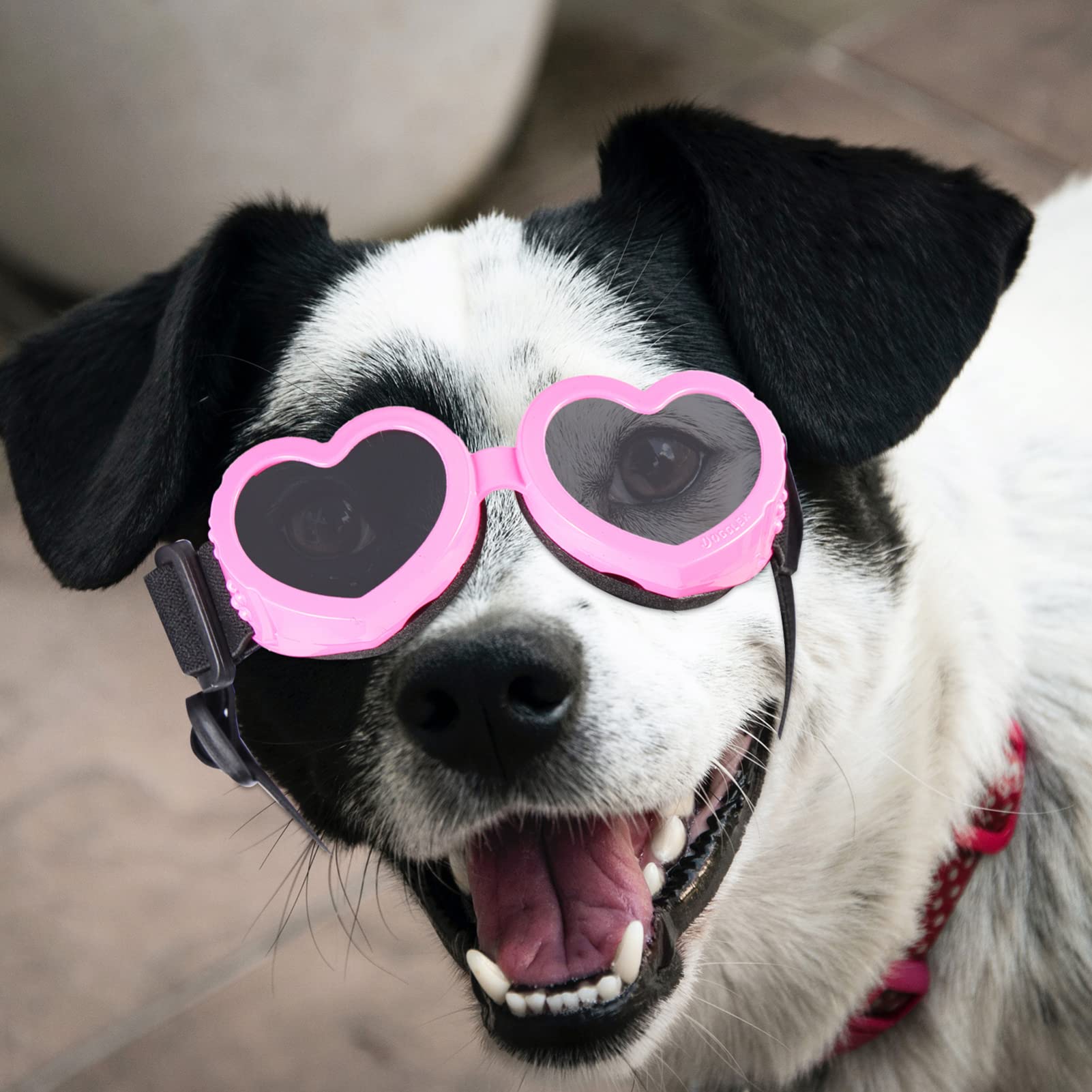 Angoily 4pezzi Occhiali Da Sole Per Cani Occhiali Protettivi Pieghevoli Vento Per Uso Esterno e Tpee Resistenti e Alla Moda Per Proteggere Gli Occhi Del Tuo Animale Da Luce Intensa e Vento