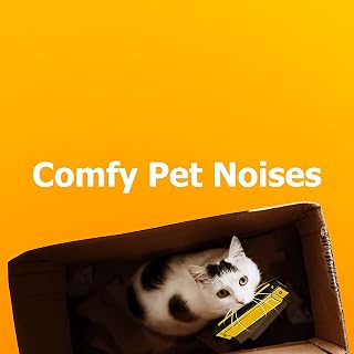 Cat Manx