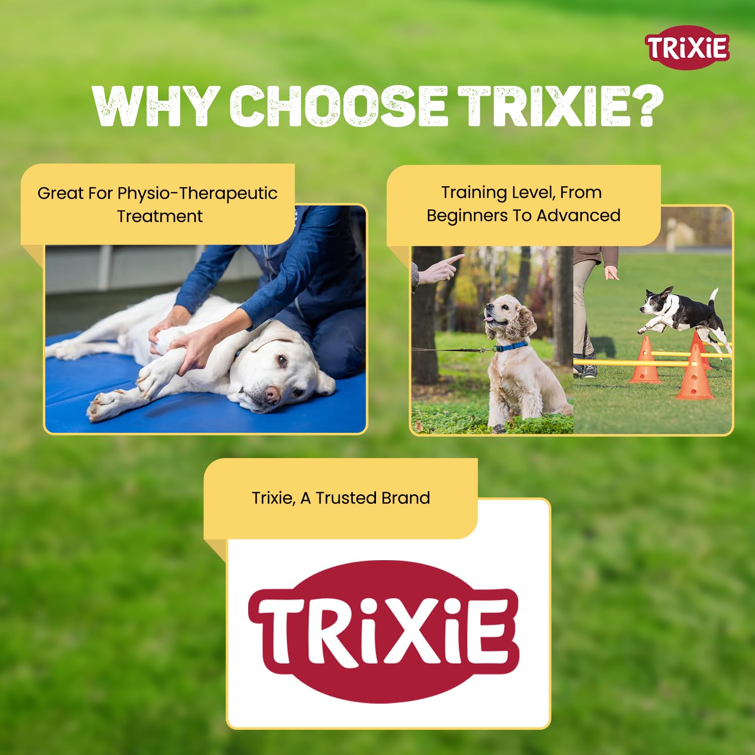 Trixie: - Dog Agility Hurdle Cone Set, Portable Canine Agility Training Set | Increase Your Dog's Concentration, Fitness and Coordination | Also Suitable for Therapeutic Treatment - 23 x 30 cm,78 cm 3