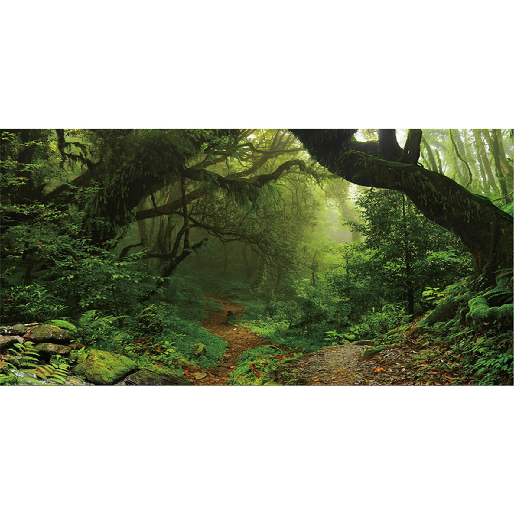 MIRRORANG 91x41cm Deep Forest Terrarium Fish Tank Background Tropical Aquarium Background Foggy Green Huge Trees Reptile Habitat Background Vinyl Background — image 1