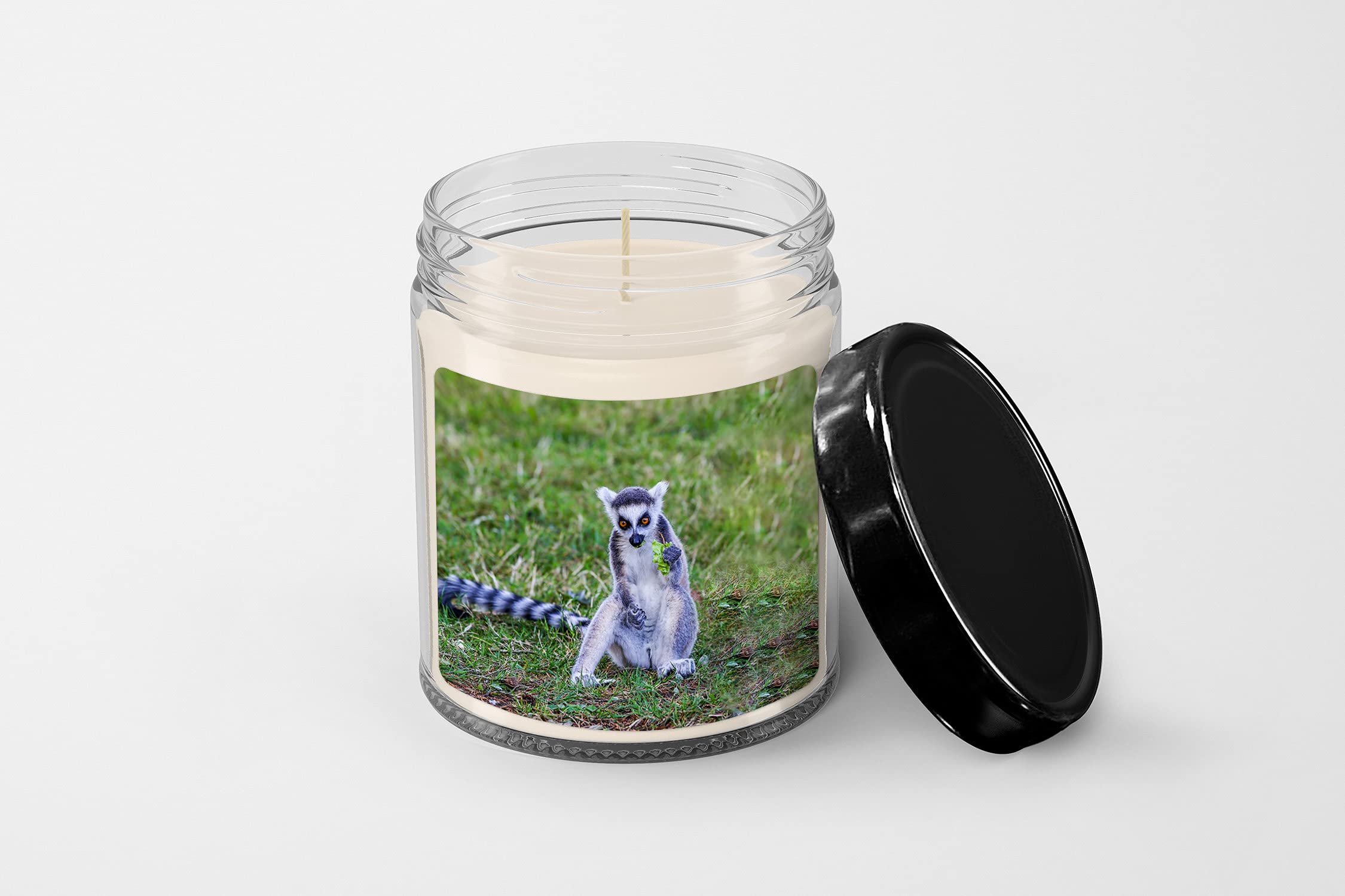 What Will Happen If My Dog Eats Candle Wax