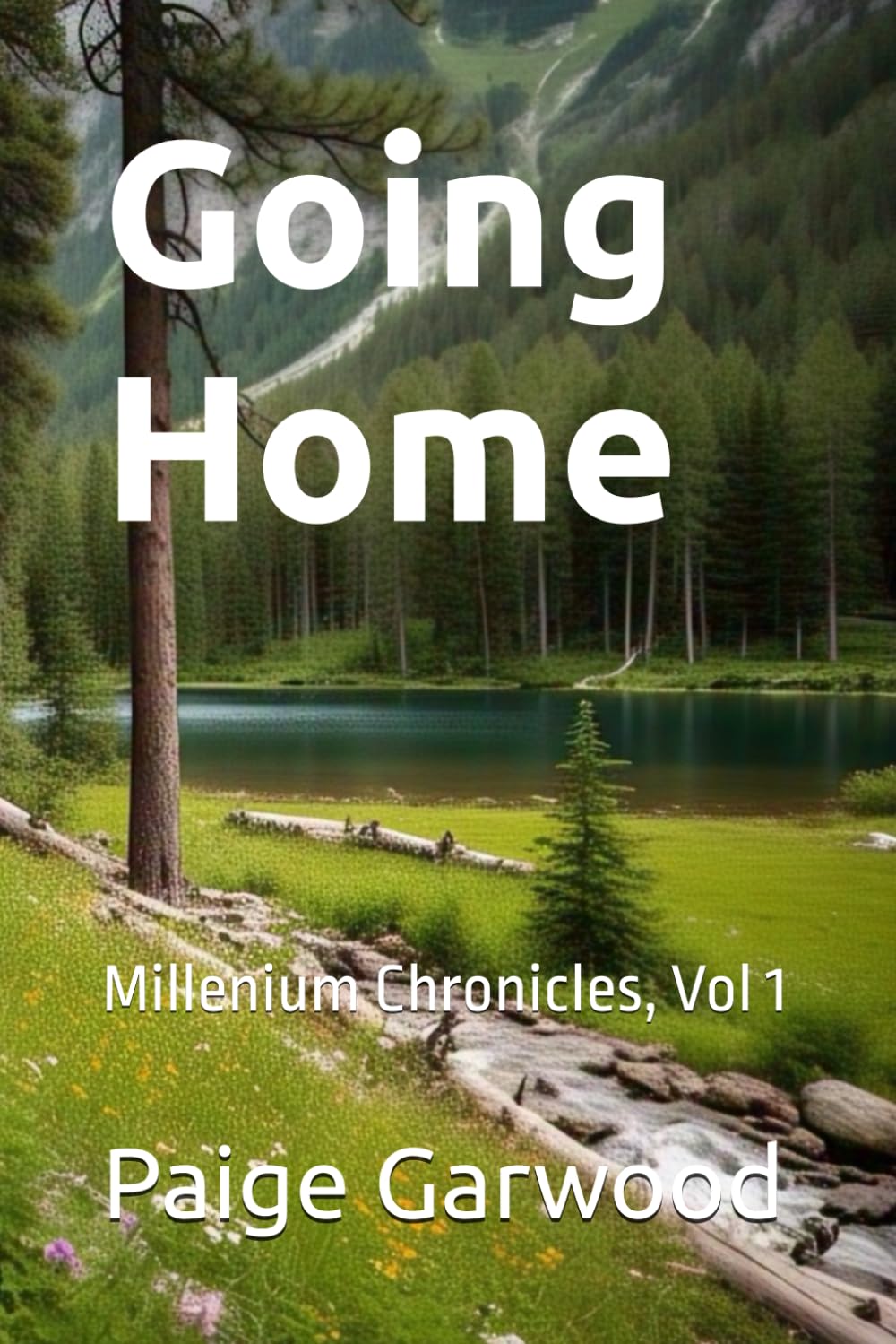 Going Home: Millenium Chronicles, Vol 1