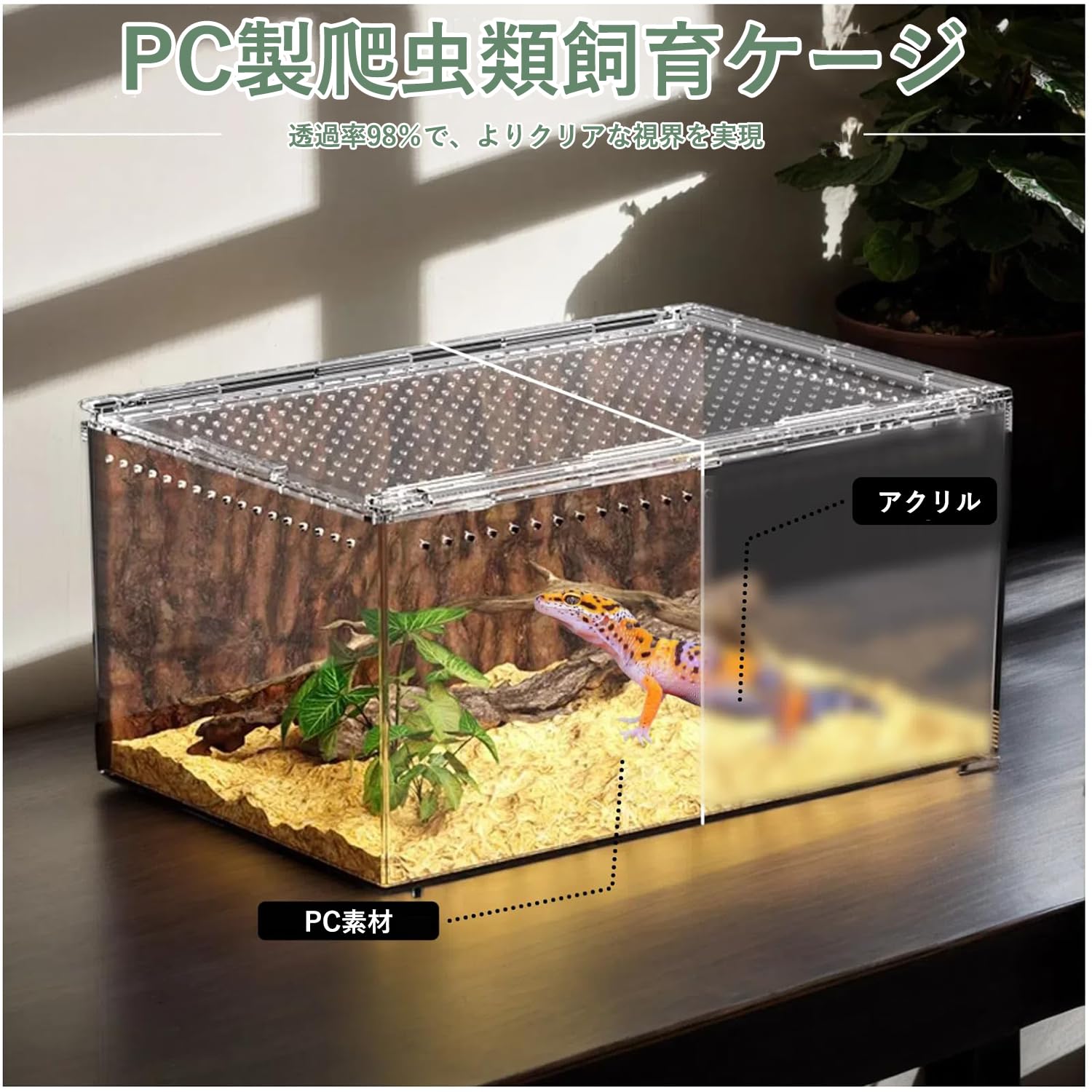 Amazon | PC 爬虫類テラリウム、ヒョウモントカゲモドキ水槽