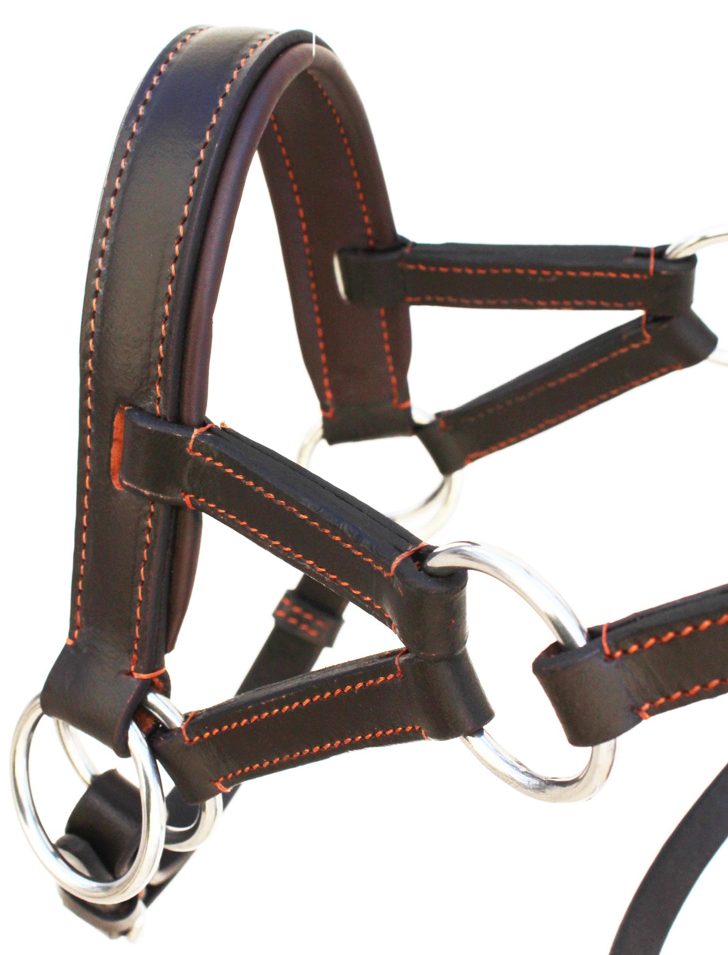 Bride Western Sidepull Sans Mors En Cuir - Rênes Fendues - Challenger 77RS29BR