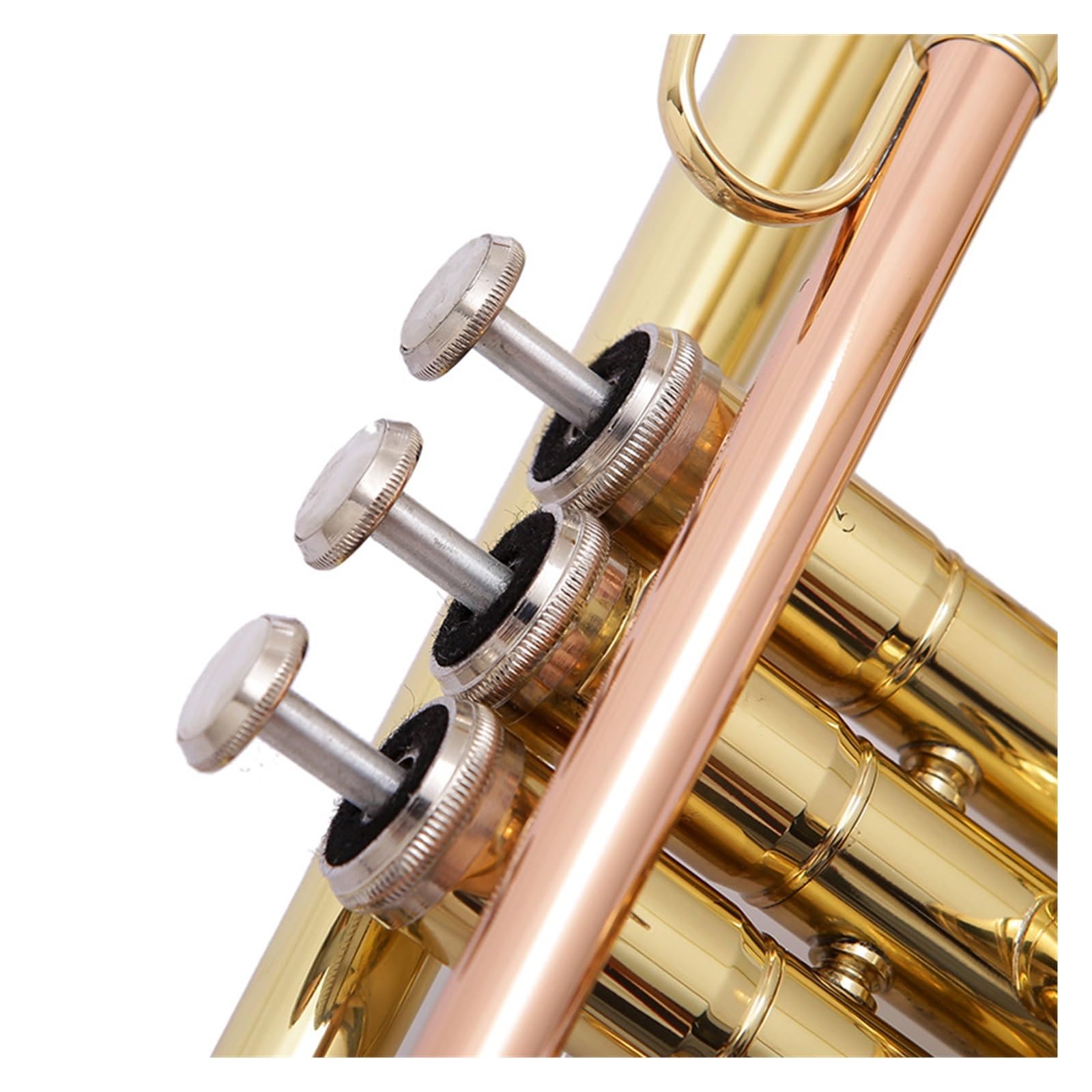 Tocar El Trombón De Pistón Cónico Para Principiantes En Si Bemol Profesional Trombón