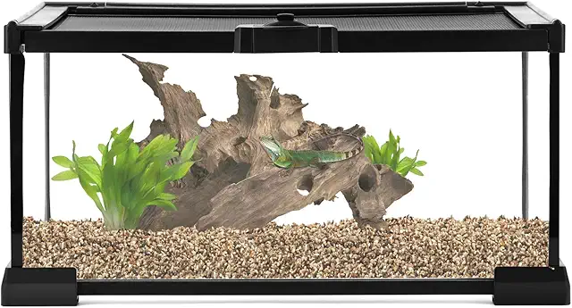 Terrario in vetro QWORK per rettili, 30x20x15cm, ideale per ragni e serpenti