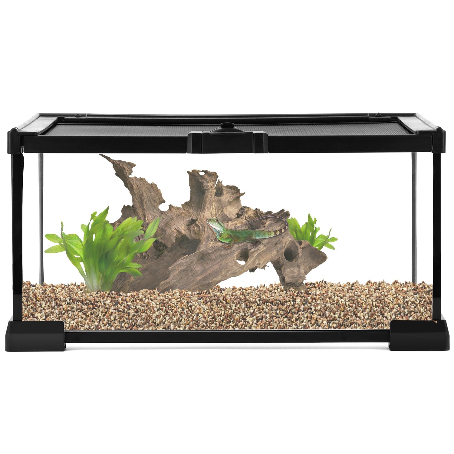 QWORK® terrario in vetro per rettili, reptile growth terrario, 30 * 20 * 15cm per una varietà di rettili e insetti