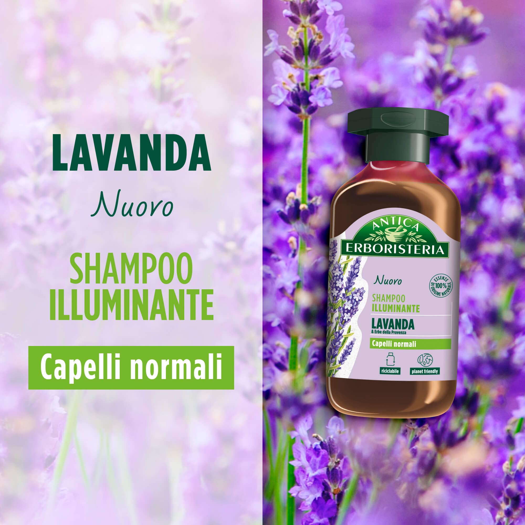 Antica Erboristeria Shampoo Illuminante Lavanda E Erbe Della Provenza, Shampoo Per Capelli Normali, Con Ingredienti Naturali, 12 Pezzi x 250 ml