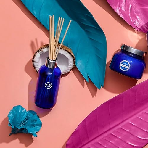 Vista 21 de Capri Blue Difusor de aceite de caña – Volcán – Viene con varillas difusoras, aceite y botella de vidrio – Difusor de aromaterapia – 8 onzas Volcán