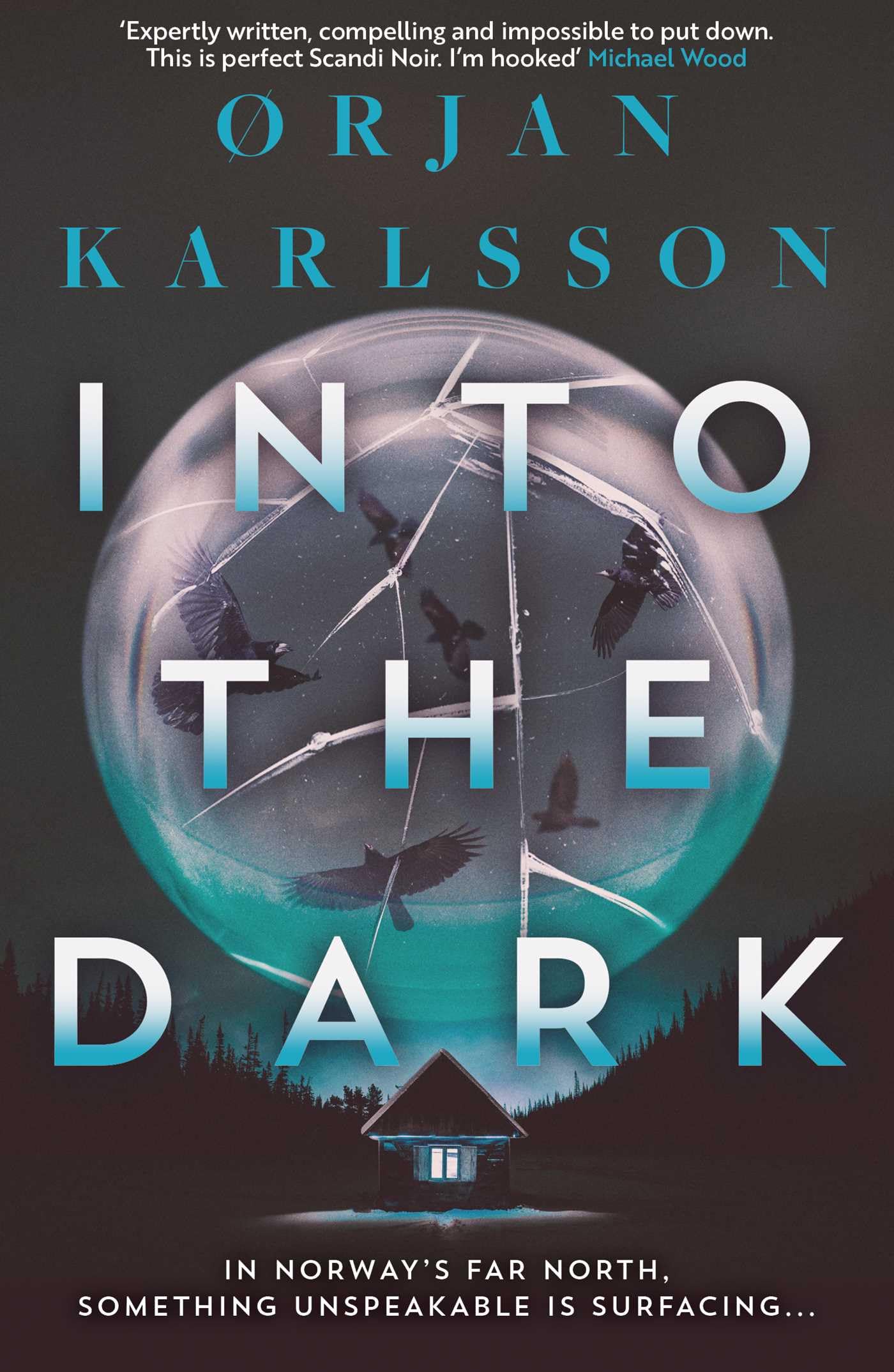 Into The Dark : The dark, twisty new instalment in the chilling Arctic Mysteries series Volume 2