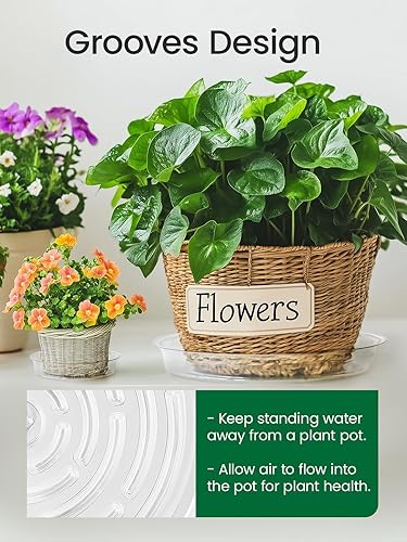 Miniatura 6 de GROWNEER 15 paquetes de bandejas transparentes de 10 pulgadas para macetas, con 15 etiquetas para plantas, bandejas de plástico para goteo para