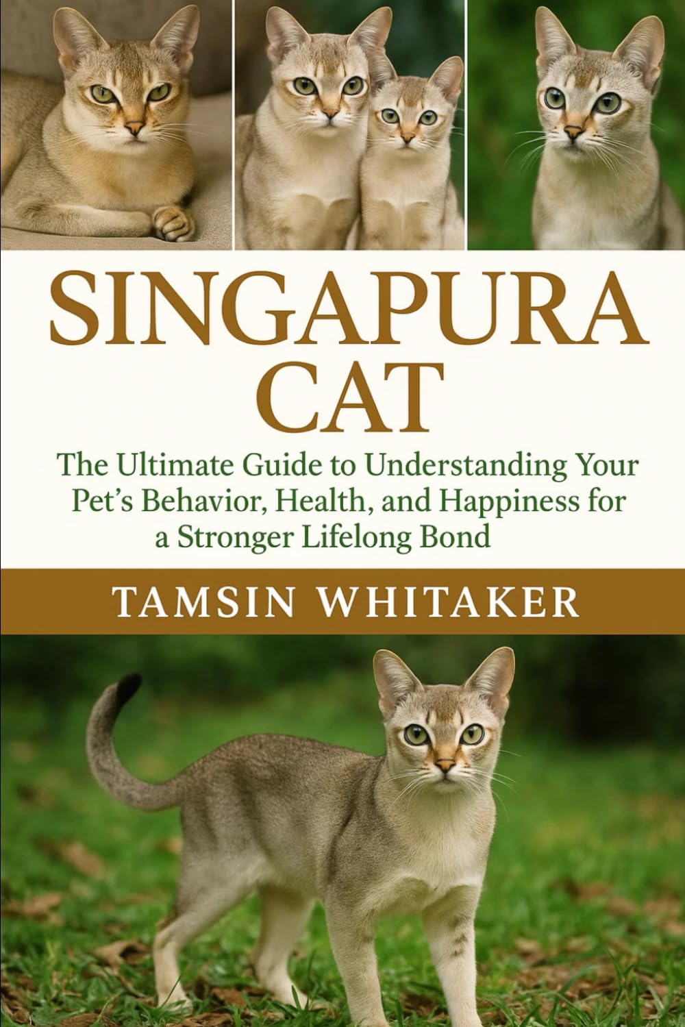 SINGAPURA CAT: The Ultimate Guide to Understanding Your Pet’s Behavior, Health, and Happiness for a Stronger Lifelong Bond