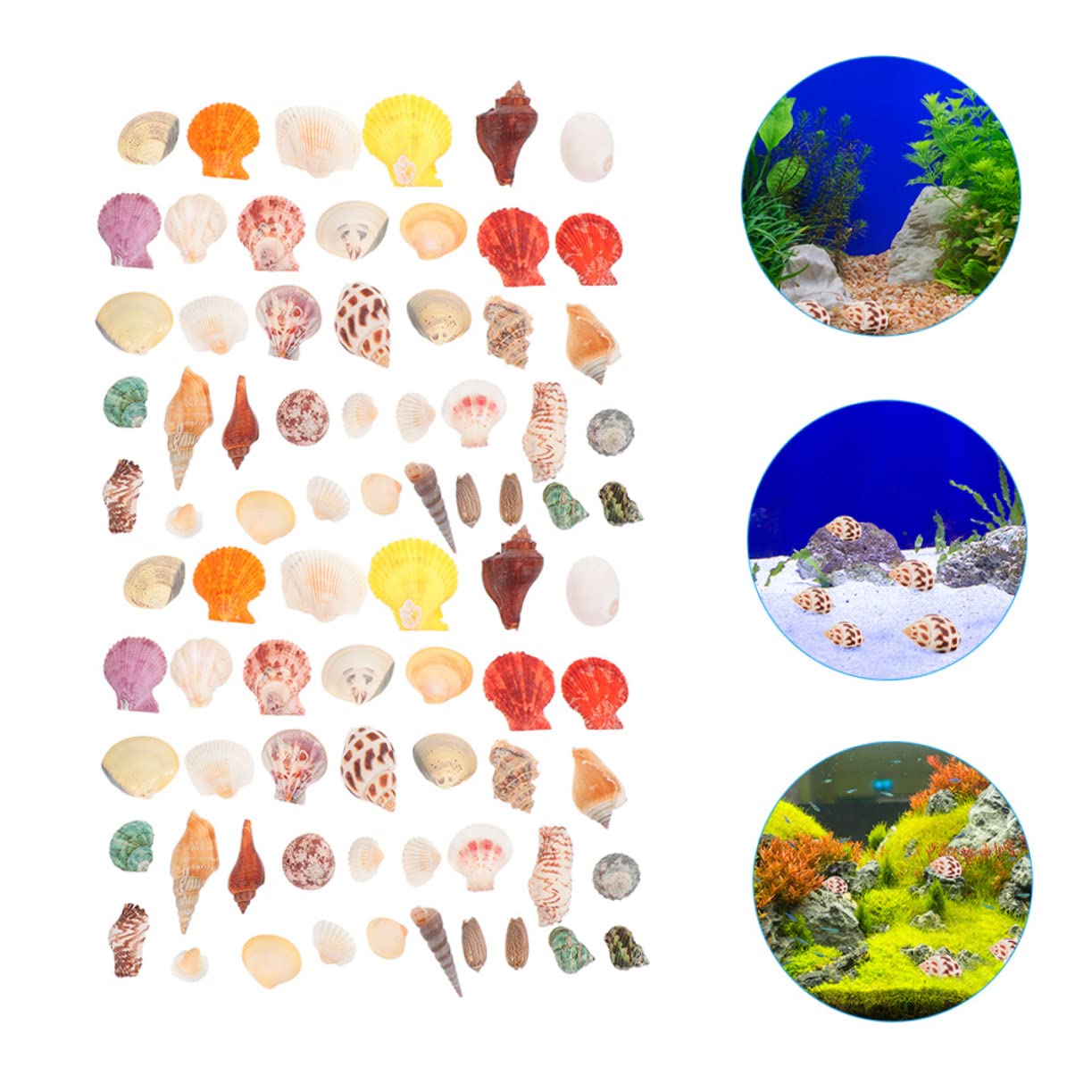 Cabilock 2 Set Conchiglia Vuoto Mare Granchio Eremita Carro Armato di Pesci di Ghiaia Coperchio Decor Ocean Oyster Beach Conchiglie Versare Spiaggia Fish Tank Decor Conchiglia 160 Pezzi * 2