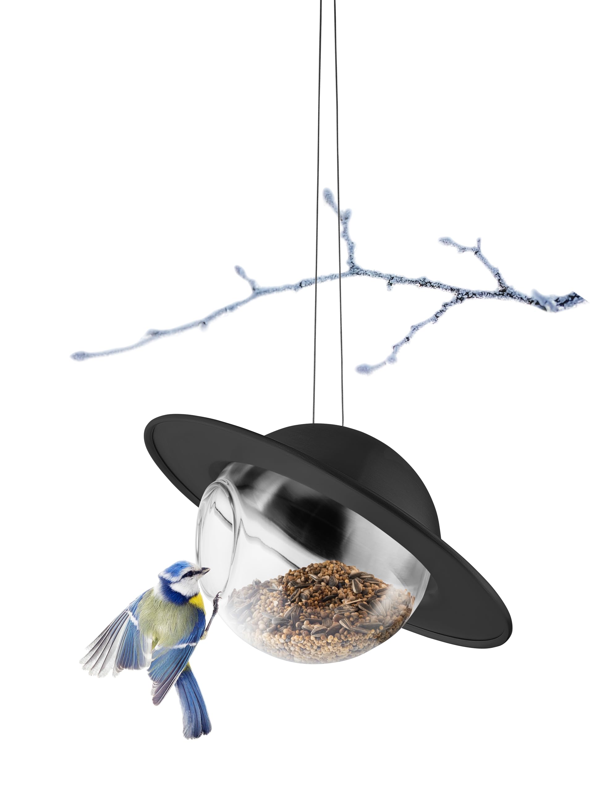 EVA SOLO | Mangiatoia per uccelli Saturn nera | Mangiatoia con sfera di vetro trasparente e tetto protettivo | Goditi gli uccelli da giardino tutto l'anno | Resistente a tutte le stagioni e a bassa