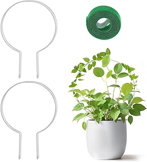 2PCS Circle Potted Plant Trellis Support