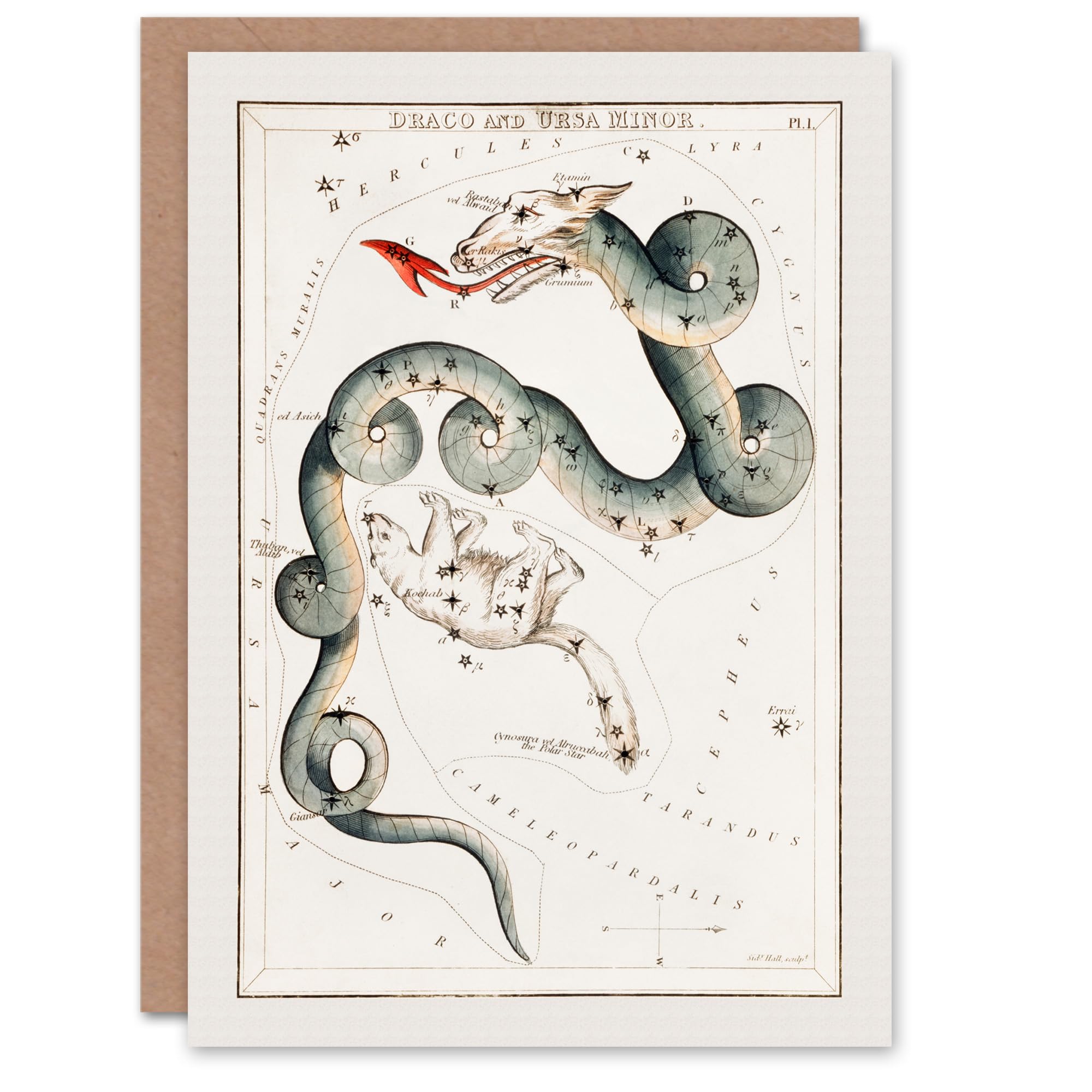 Artery8 Sidney Hall Art Card Draco and Ursa Minor Constellation