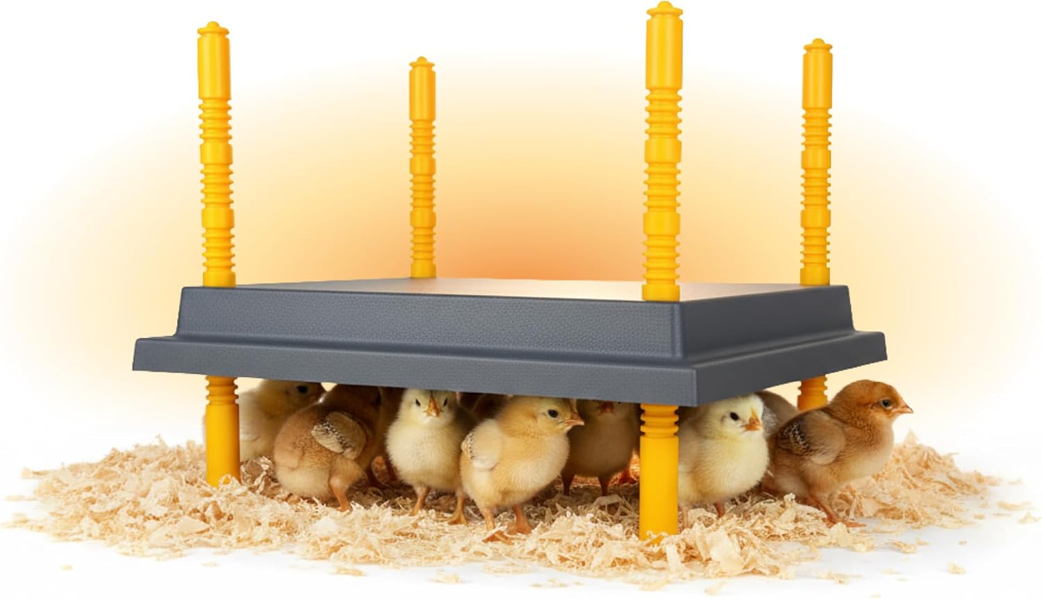 Hatching Time Warmzy 10"x10" Chick Heating Plate – Safe 15W Chicken Coop Heater for 15–20 Chicks with Adjustable Legs | Gentle Low-Heat Brooder Plate for Chicks, Durable Fire-Resistant Chicken Heater
