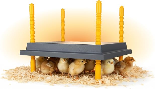 Hatching Time Warmzy Chick Brooder Plate 14 x 14-inch 30W for 25-30 Chicks